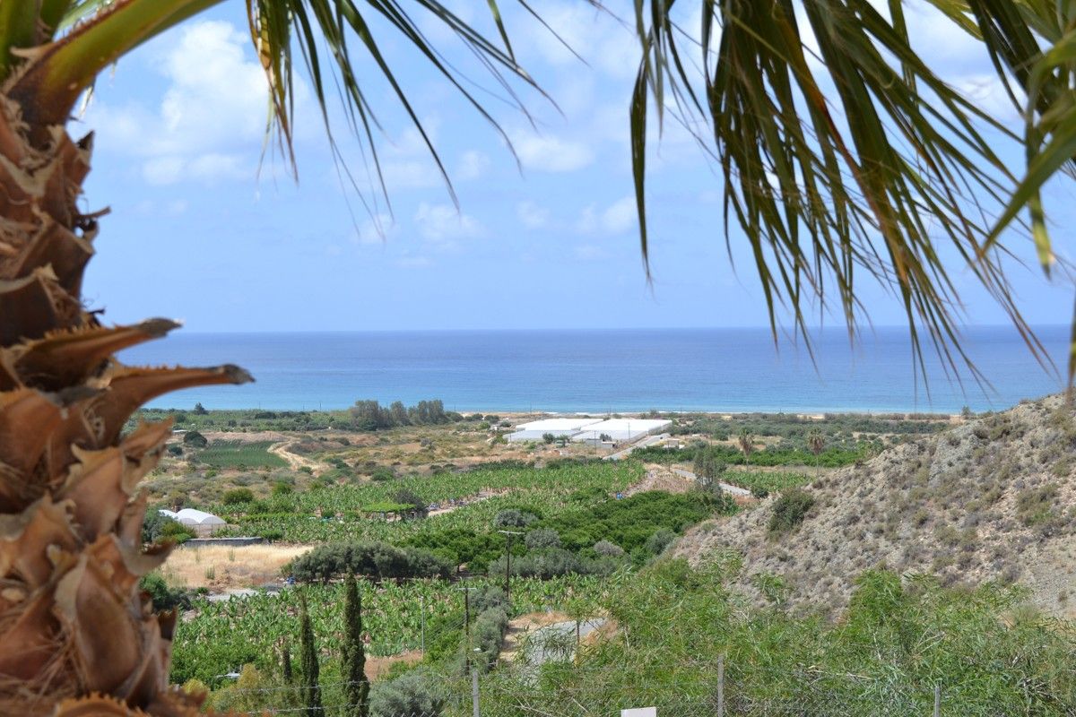 Вилла в Пафосе, Кипр, 142 м² - фото 4