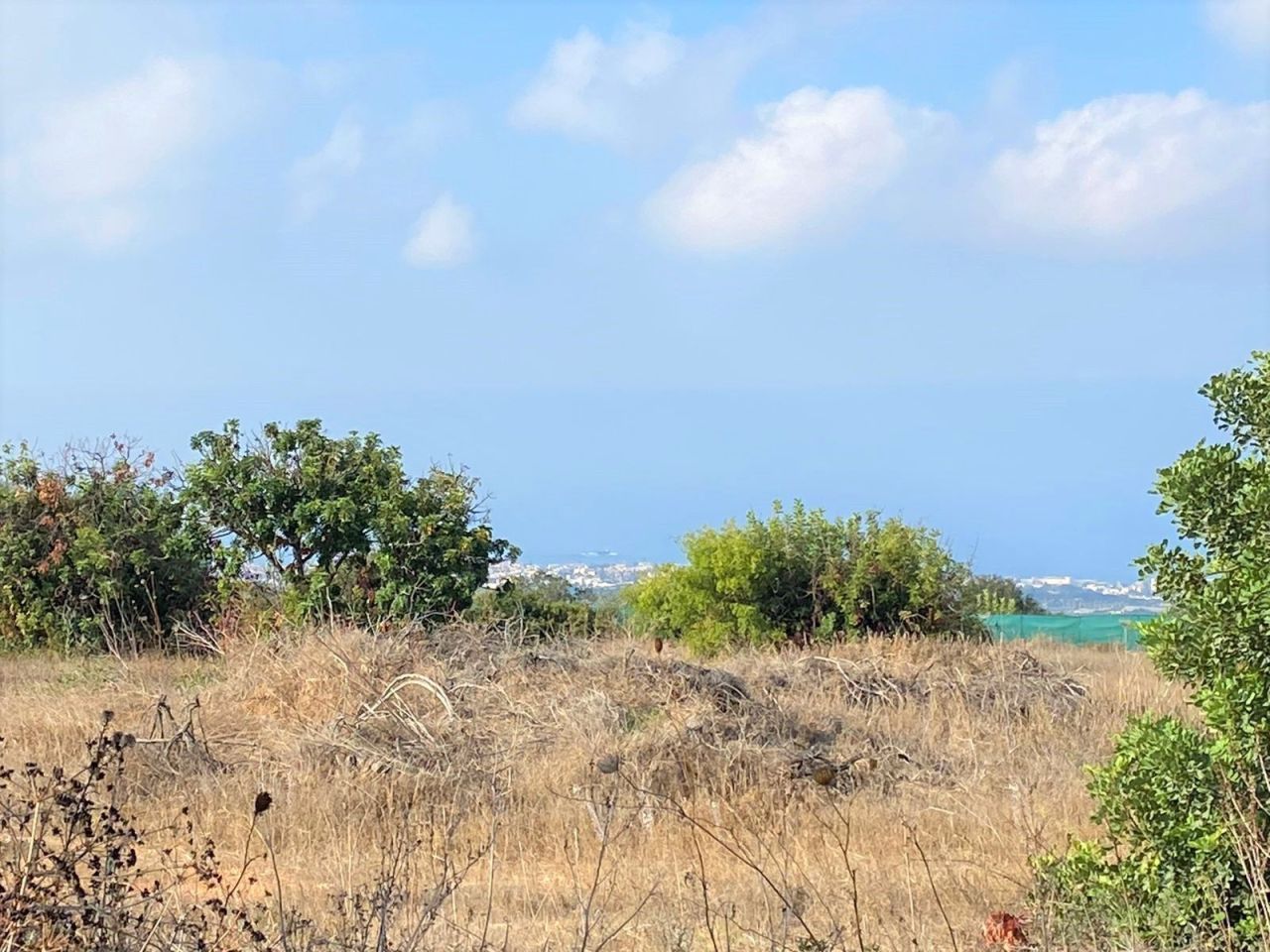 Земля в Пафосе, Кипр, 7 946 м² - фото 4