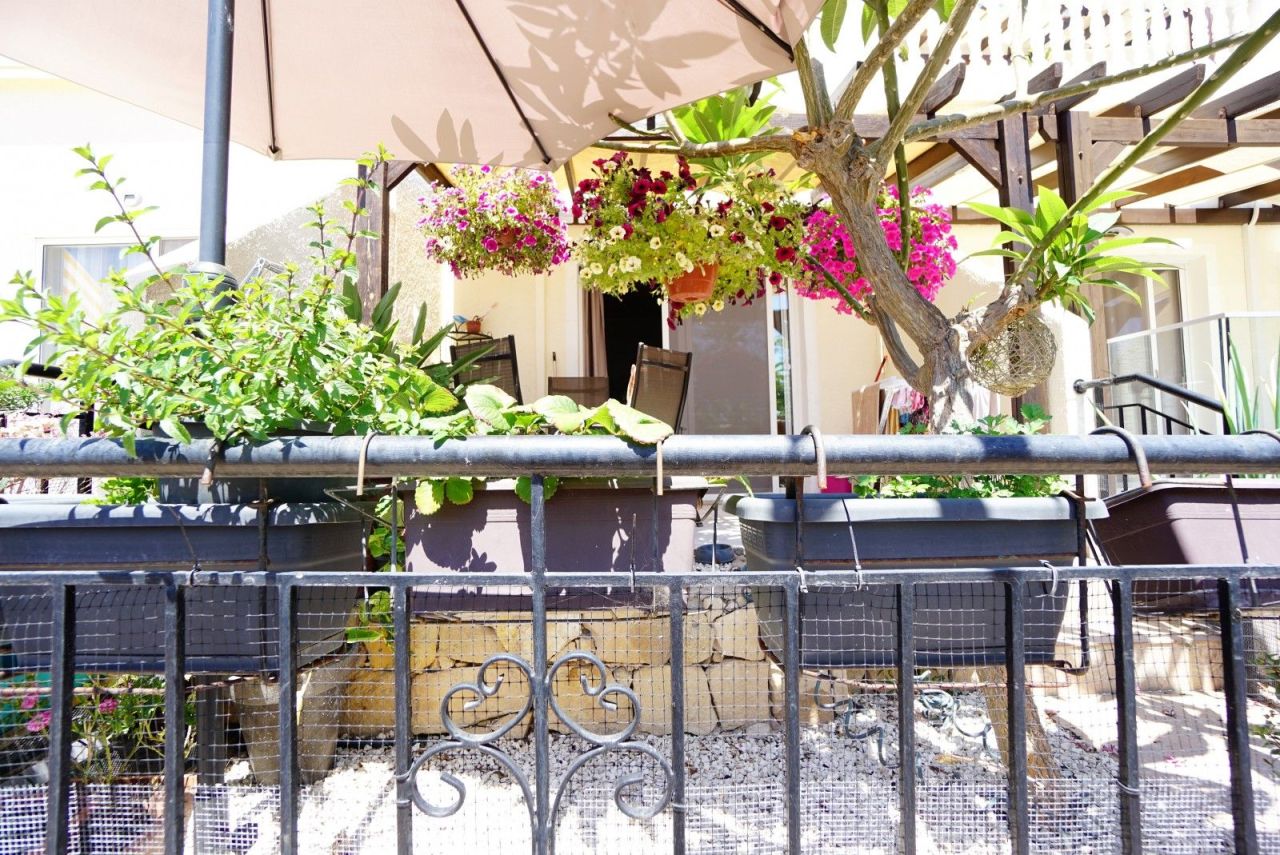 Таунхаус в Пафосе, Кипр, 90 м² - фото 4