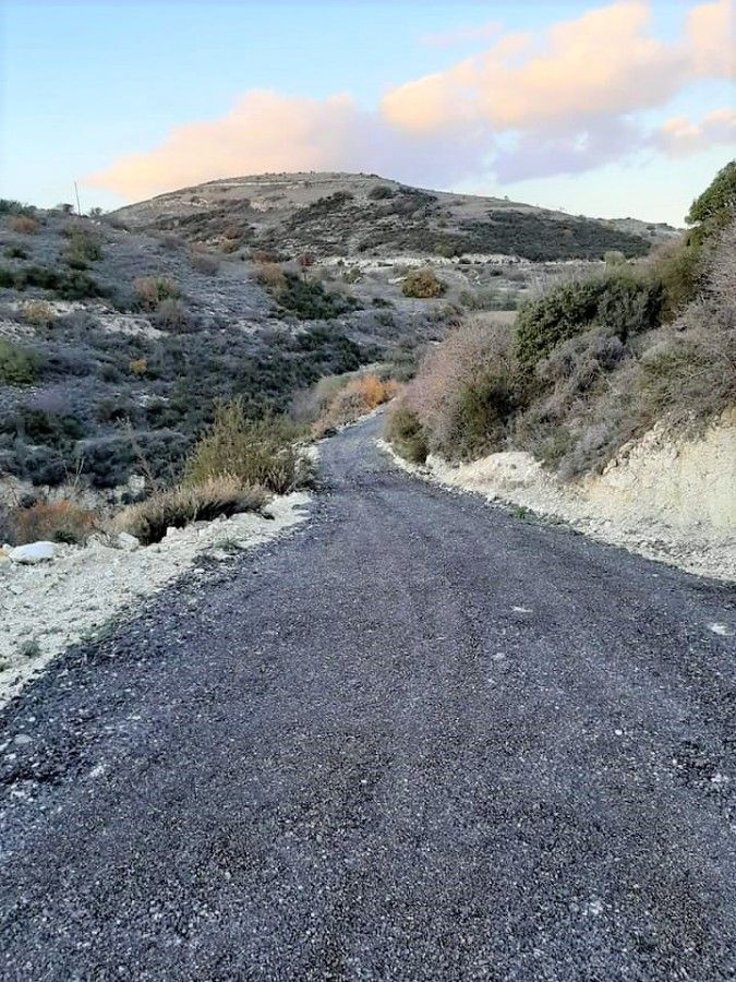 Бунгало в Пафосе, Кипр, 2 200 м² - фото 5