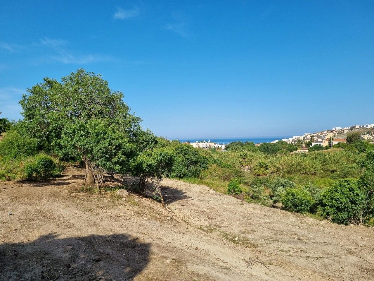 Земля в Пафосе, Кипр, 2 984 м² - фото 5