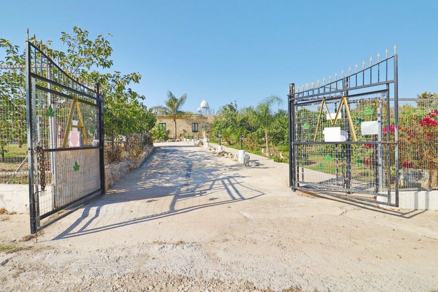 Бунгало в Пафосе, Кипр, 145 м² - фото 5