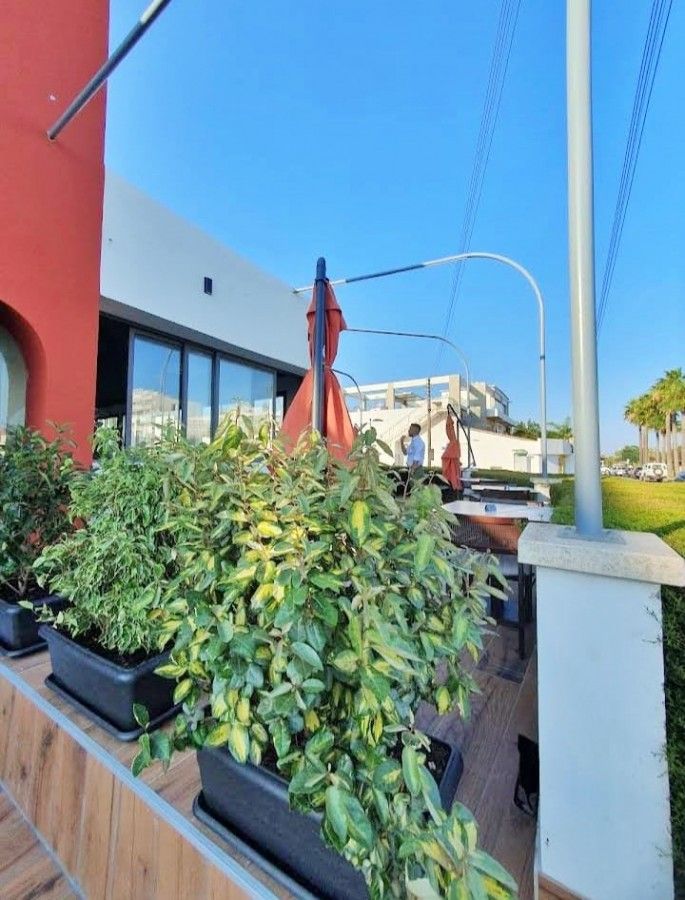 Кафе, ресторан в Ларнаке, Кипр, 300 м² - фото 5