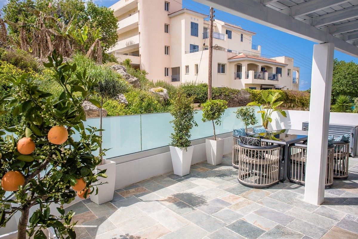 Коммерческая недвижимость в Пафосе, Кипр, 3 006 м² - фото 5