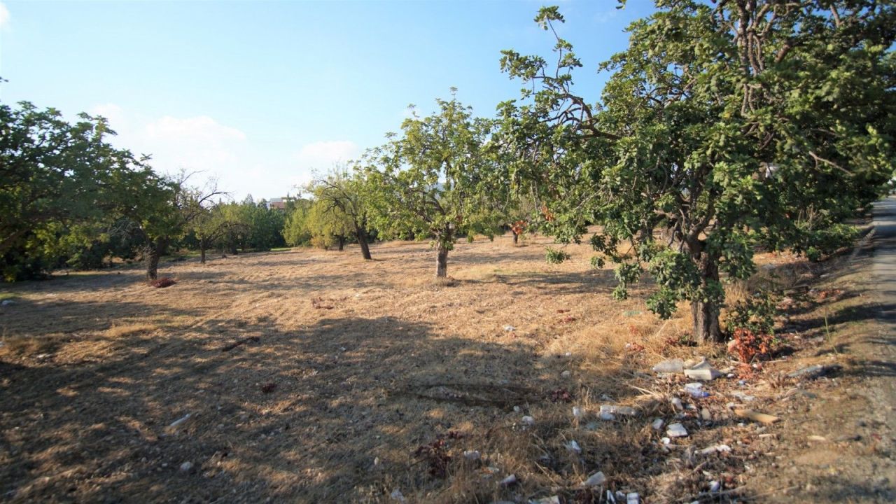 Земля в Пафосе, Кипр, 8 027 м² - фото 5