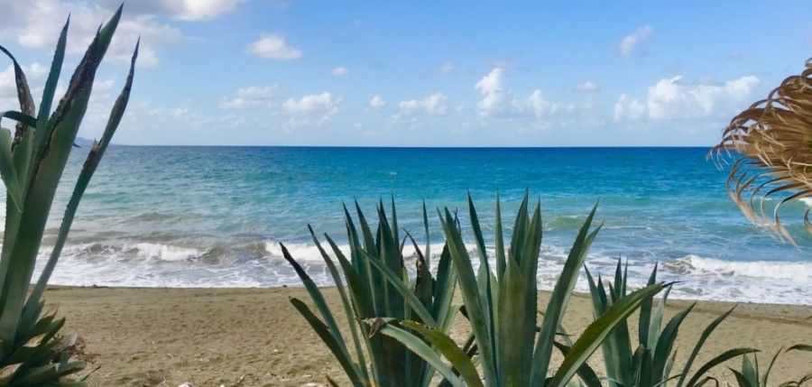 Коммерческая недвижимость в Пафосе, Кипр, 500 м² - фото 5