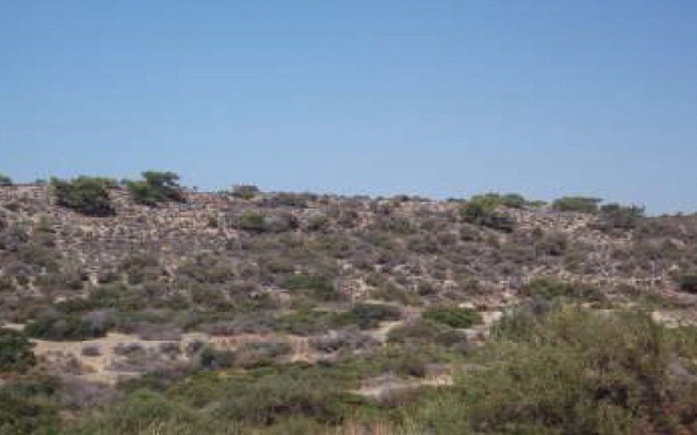 Земля в Лимасоле, Кипр, 18 785 м² - фото 5