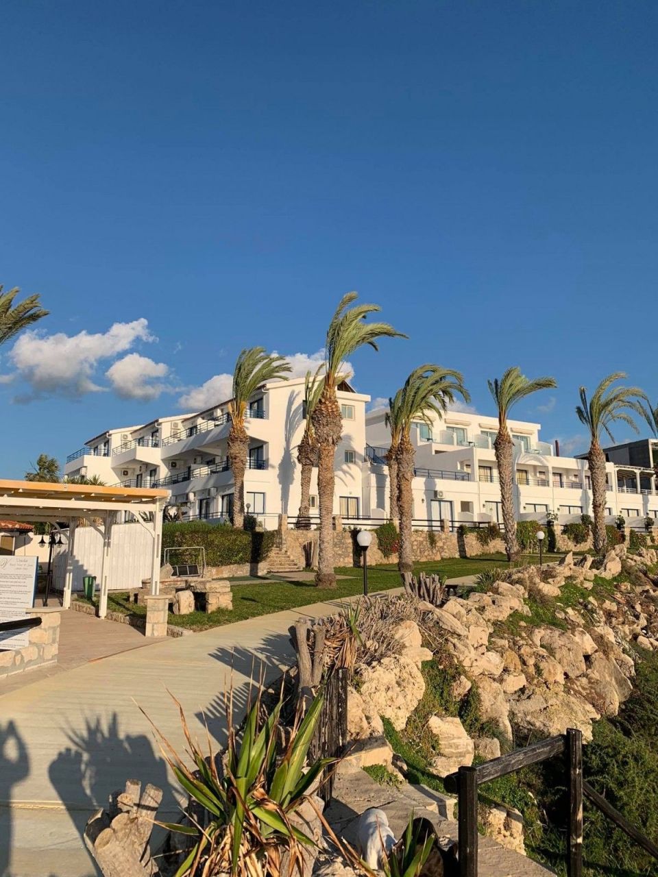 Отель, гостиница в Пафосе, Кипр, 2 000 м² - фото 6