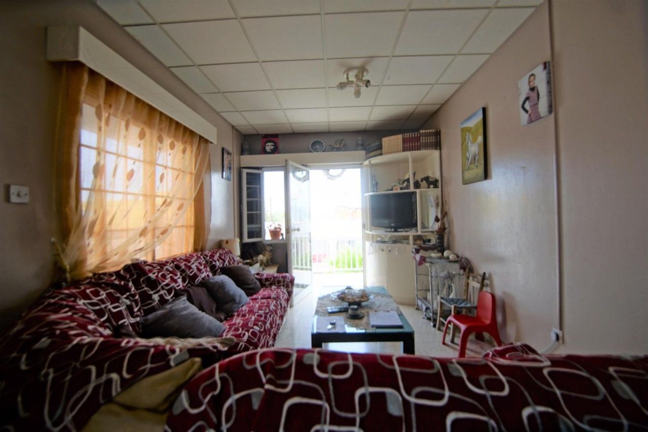 Коммерческая недвижимость в Пафосе, Кипр, 308 м² - фото 6