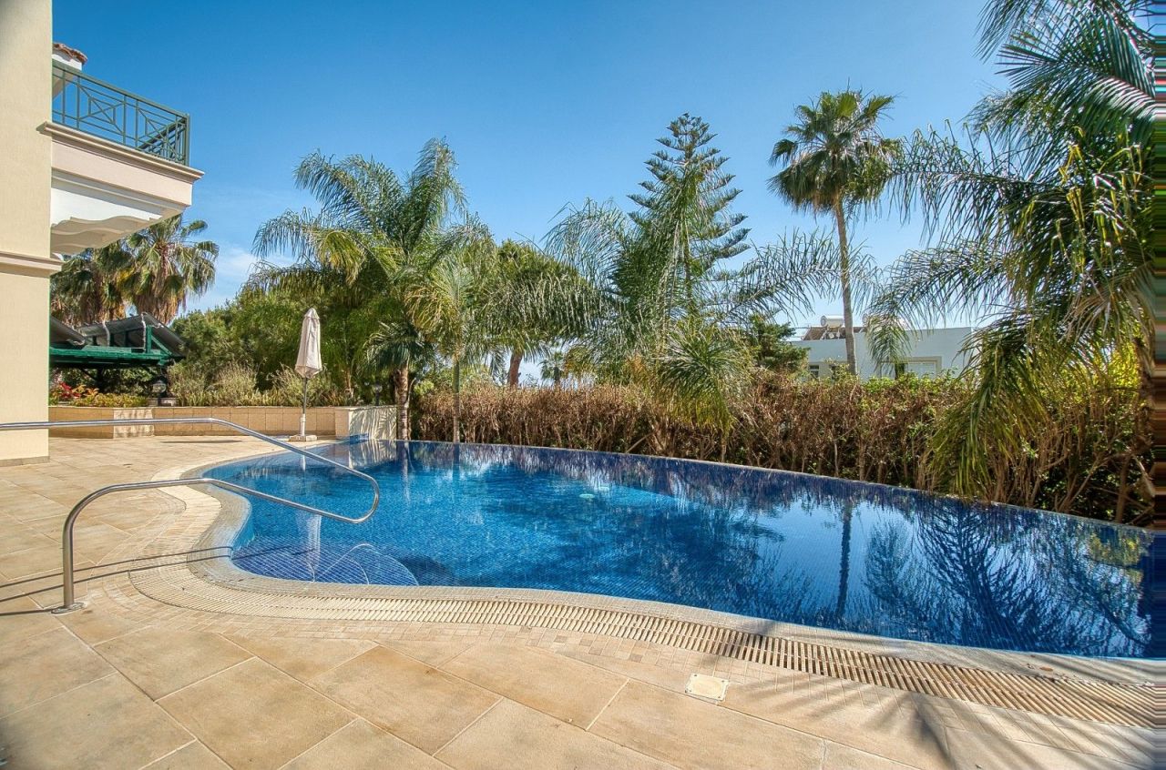 Вилла в Пафосе, Кипр, 500 м² - фото 6