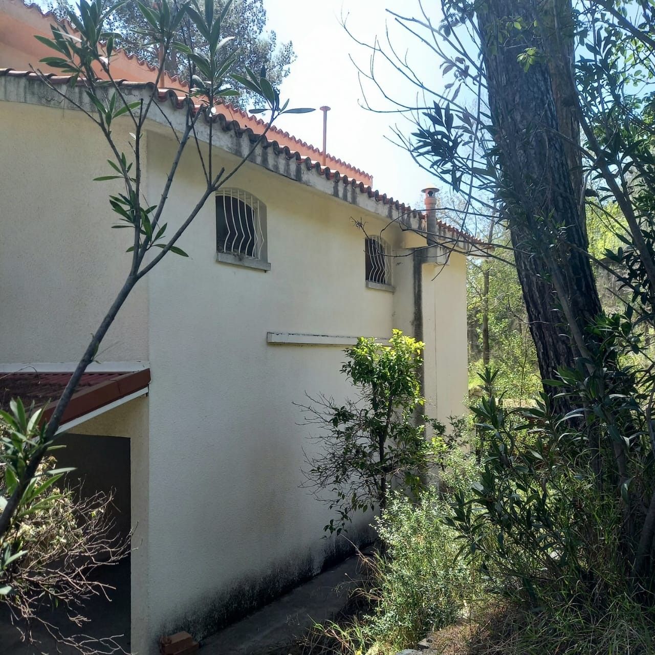 Вилла в Лимасоле, Кипр, 350 м² - фото 6