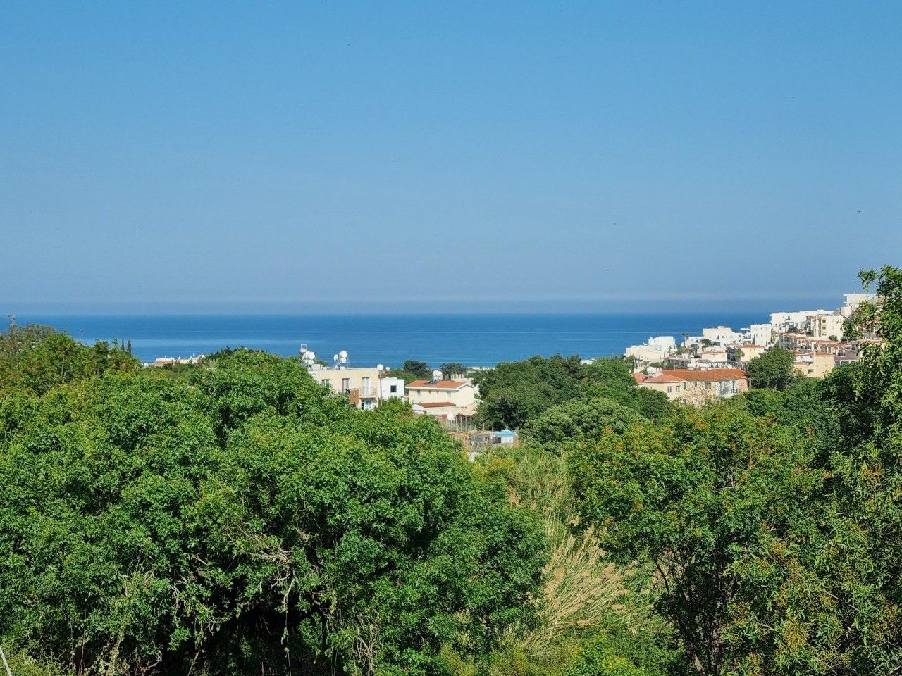 Земля в Пафосе, Кипр, 2 984 м² - фото 6