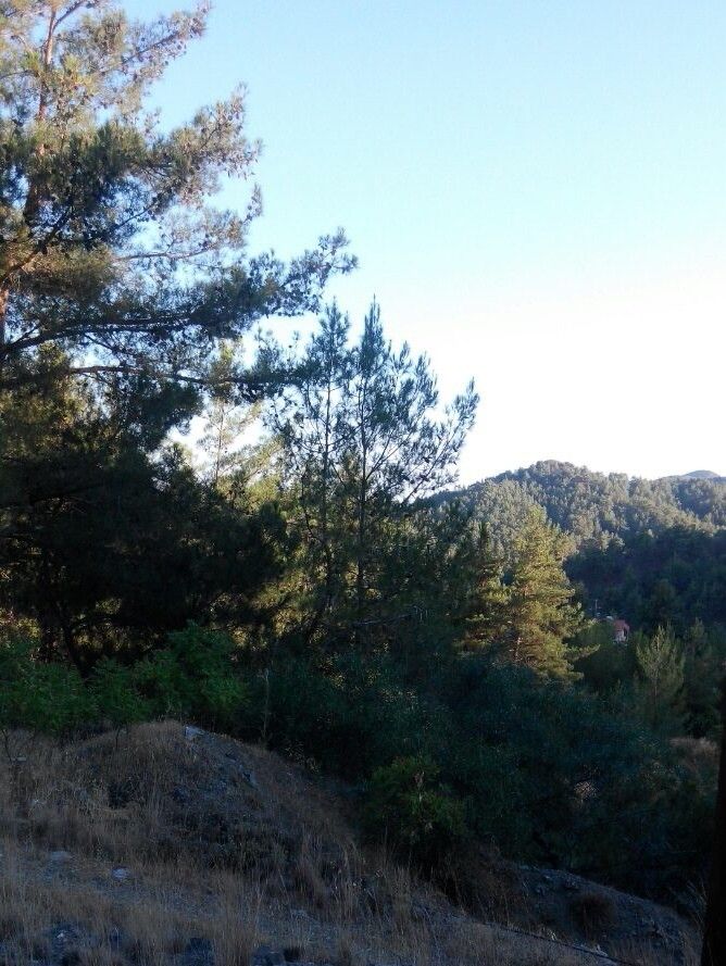 Земля в Лимасоле, Кипр, 1 350 м² - фото 6