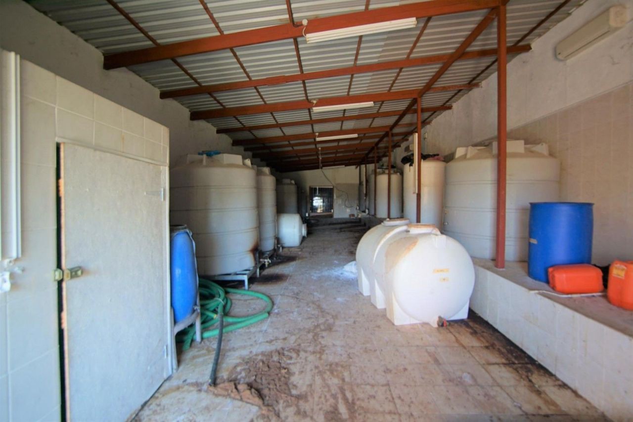 Земля в Пафосе, Кипр, 79 936 м² - фото 7