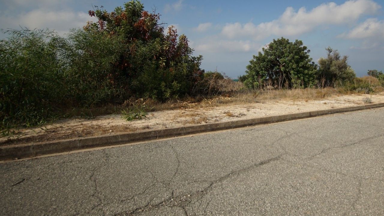 Земля в Пафосе, Кипр, 7 946 м² - фото 7