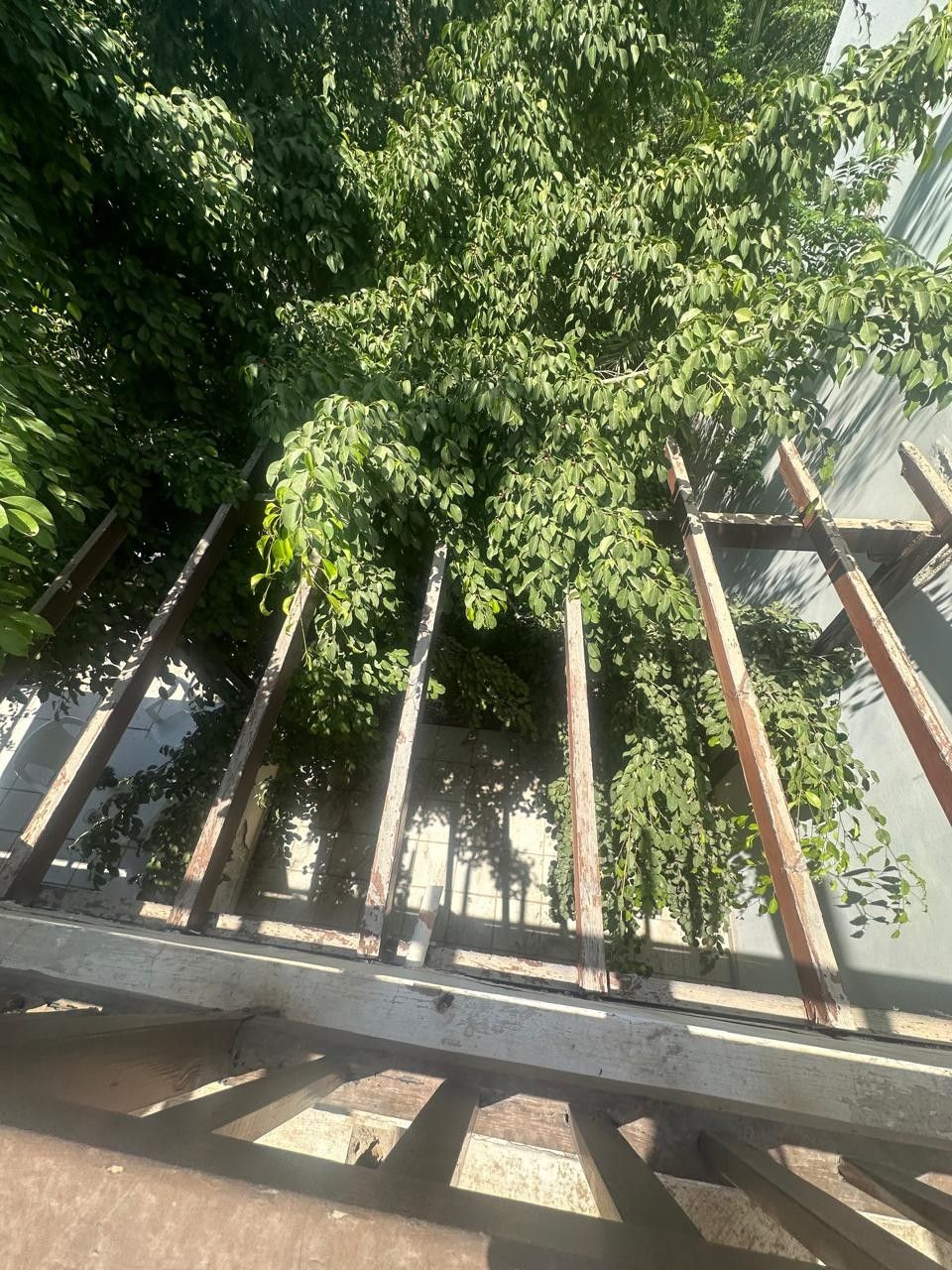 Таунхаус в Пафосе, Кипр, 86 м² - фото 7