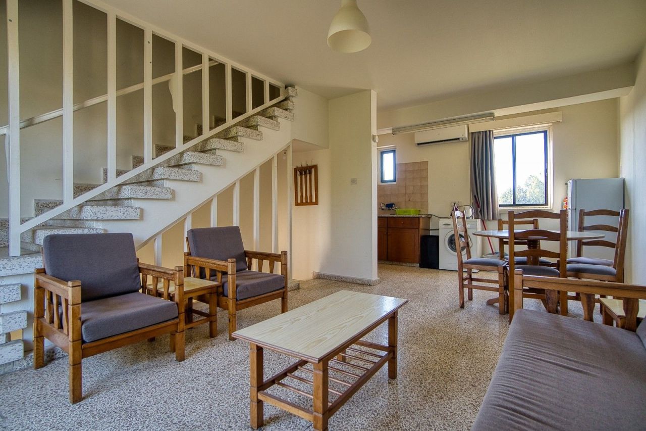 Коммерческая недвижимость в Пафосе, Кипр - фото 7