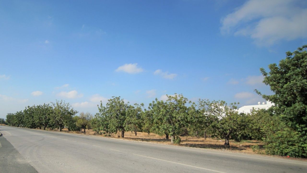 Земля в Пафосе, Кипр, 8 027 м² - фото 7