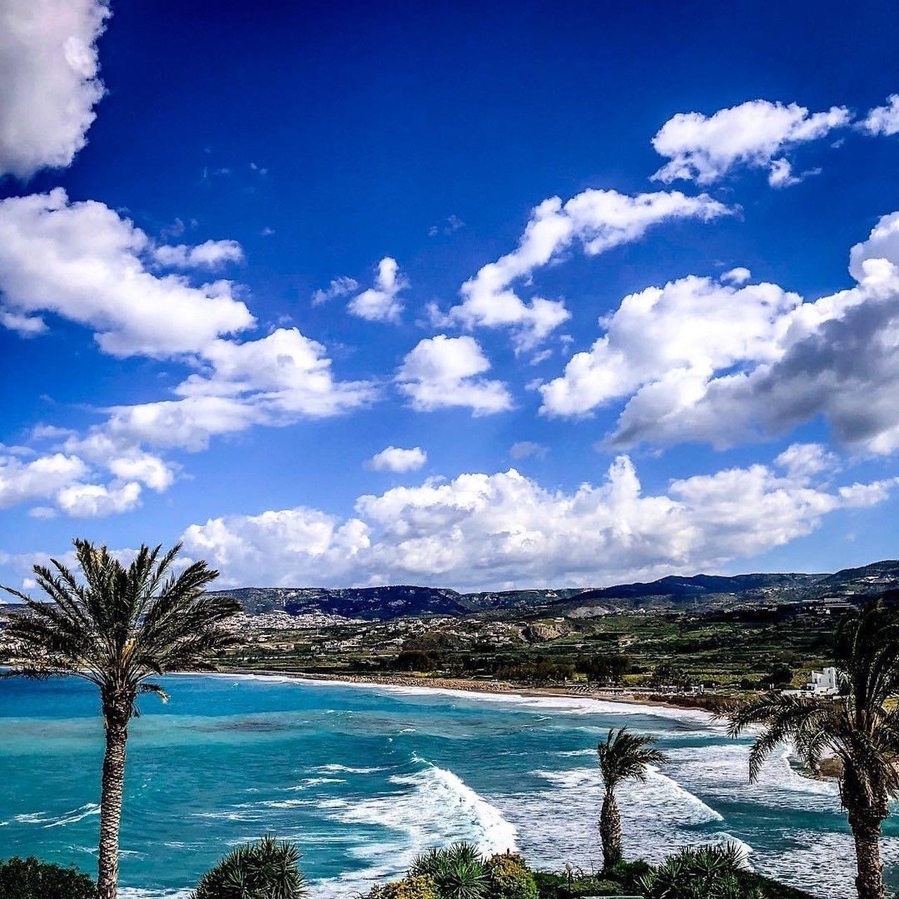 Отель, гостиница в Пафосе, Кипр, 2 000 м² - фото 7