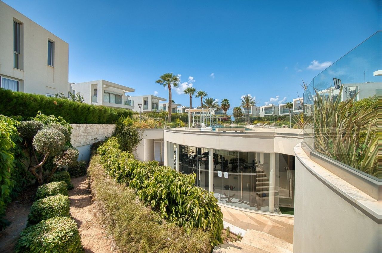 Вилла в Пафосе, Кипр, 428 м² - фото 7