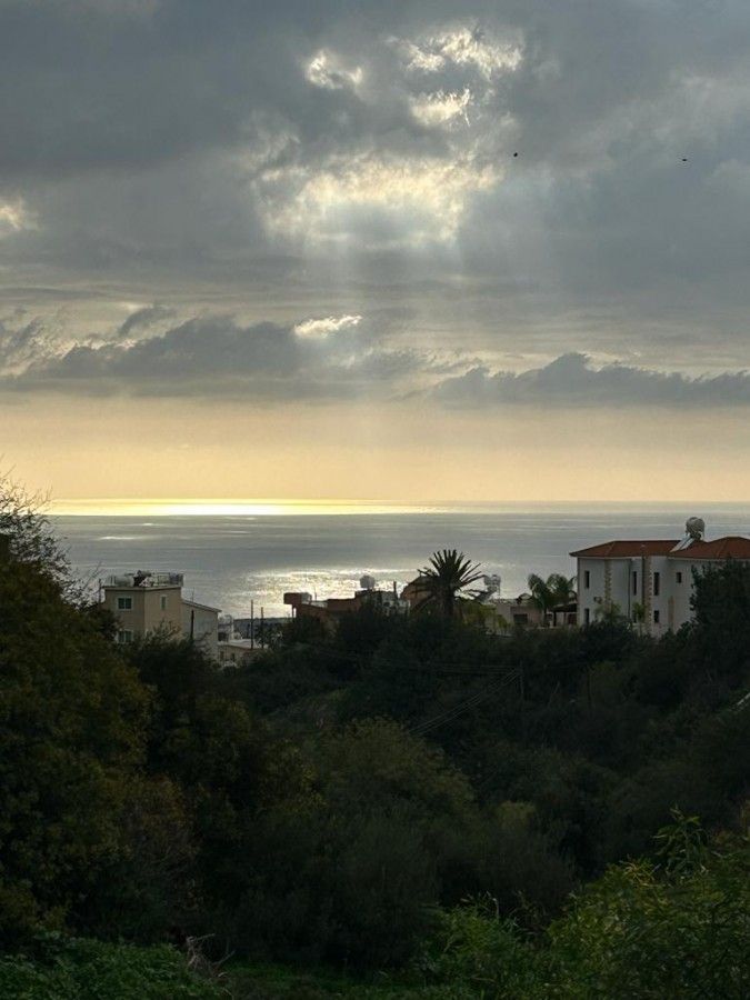 Земля в Пафосе, Кипр, 1 338 м² - фото 7