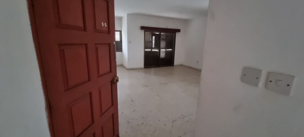 Коммерческая недвижимость в Пафосе, Кипр - фото 8