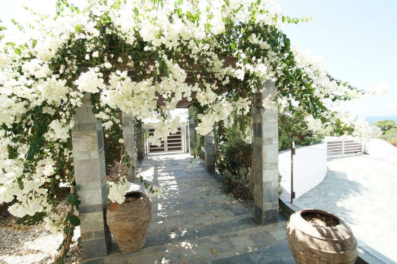 Вилла в Пафосе, Кипр, 600 м² - фото 8