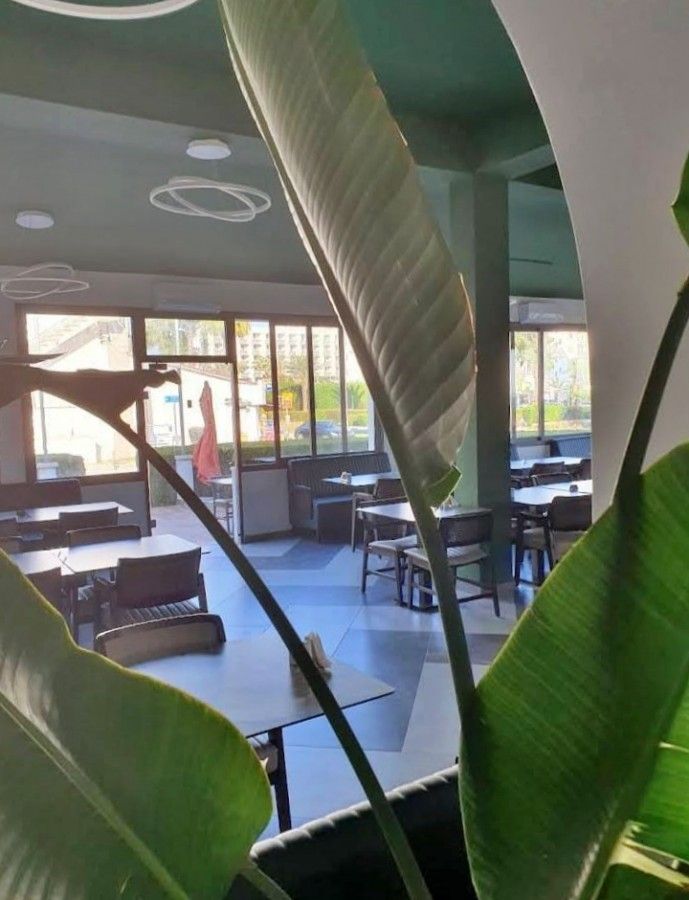 Кафе, ресторан в Ларнаке, Кипр, 300 м² - фото 8