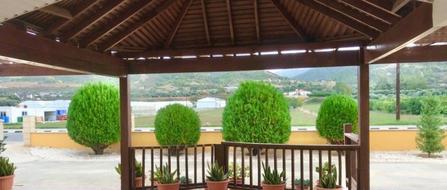 Коммерческая недвижимость в Пафосе, Кипр, 500 м² - фото 8