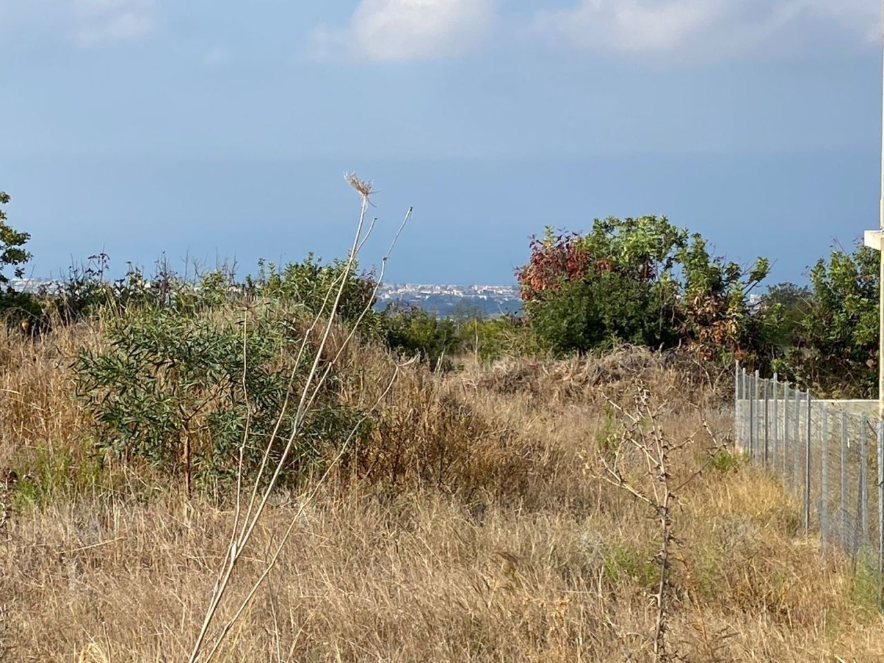 Земля в Пафосе, Кипр, 7 946 м² - фото 8