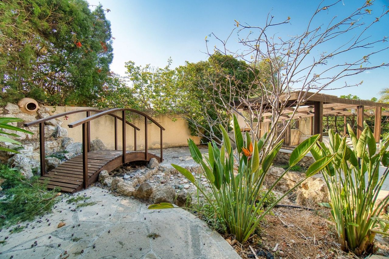 Вилла в Пафосе, Кипр, 350 м² - фото 8