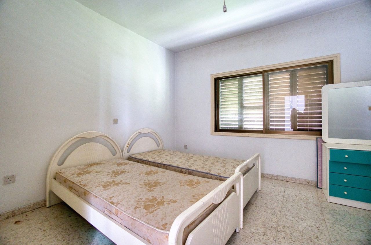 Коммерческая недвижимость в Пафосе, Кипр - фото 8