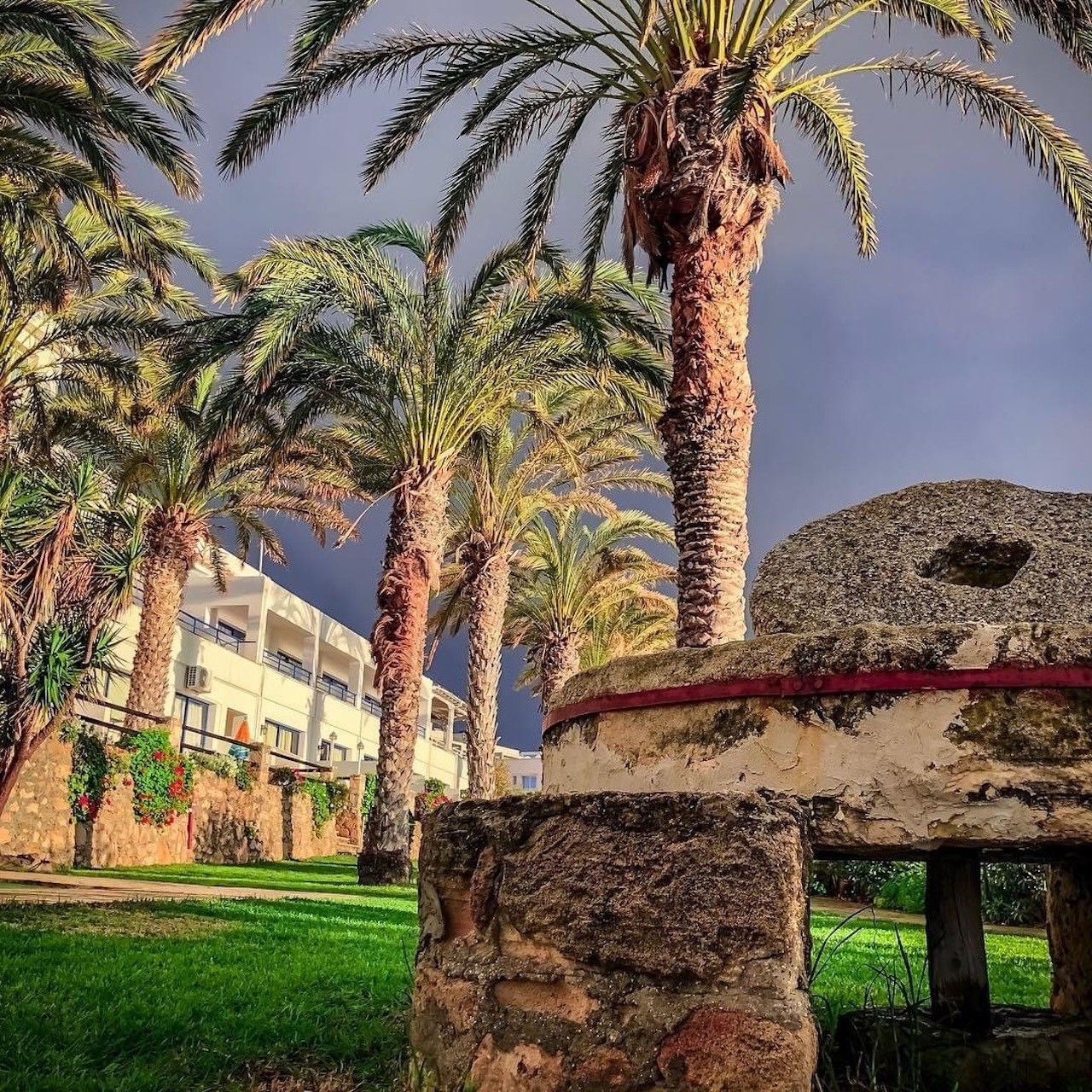 Отель, гостиница в Пафосе, Кипр, 2 000 м² - фото 8