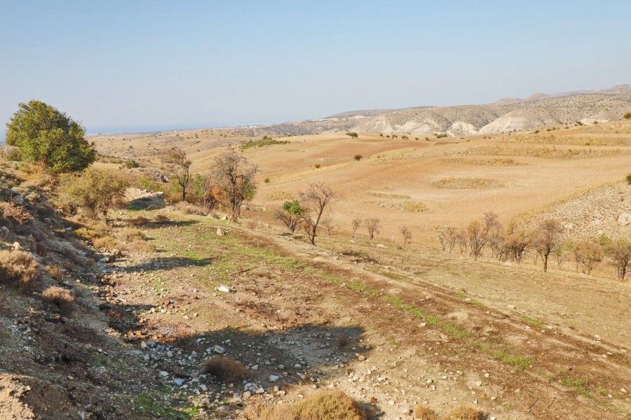 Бунгало в Пафосе, Кипр, 145 м² - фото 8