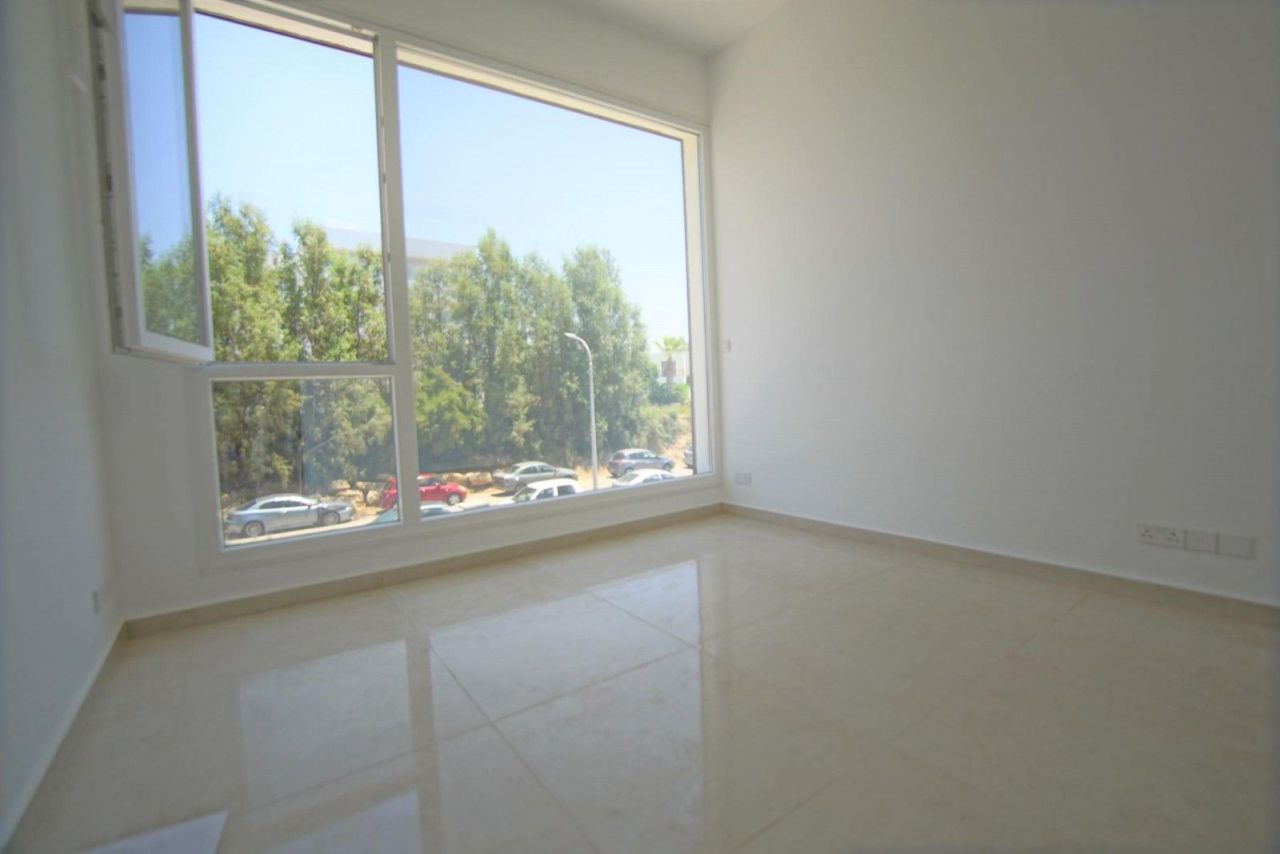 Коммерческая недвижимость в Пафосе, Кипр - фото 9