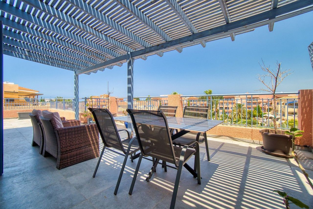 Пентхаус в Пафосе, Кипр - фото 9