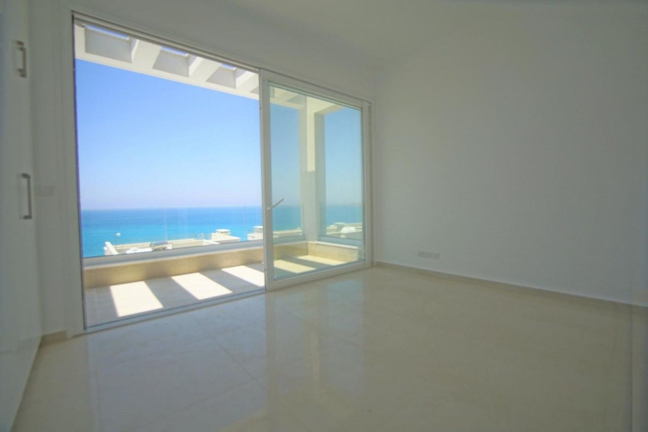 Коммерческая недвижимость в Пафосе, Кипр - фото 10