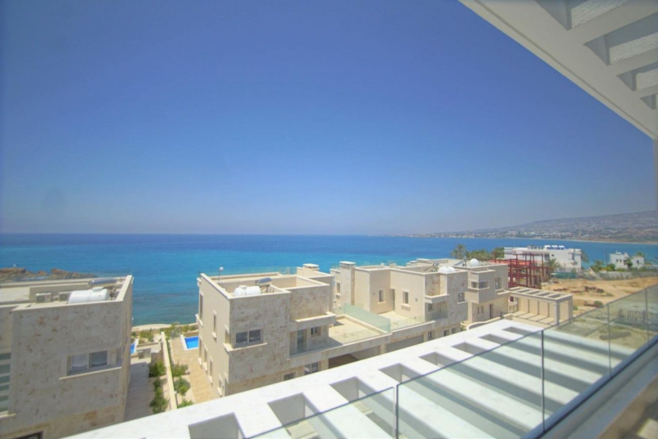 Коммерческая недвижимость в Пафосе, Кипр - фото 11