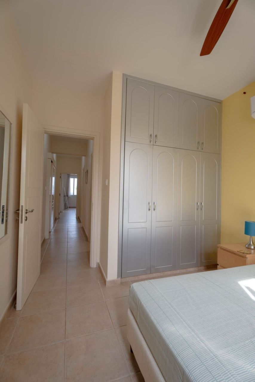 Бунгало в Пафосе, Кипр, 193 м² - фото 12