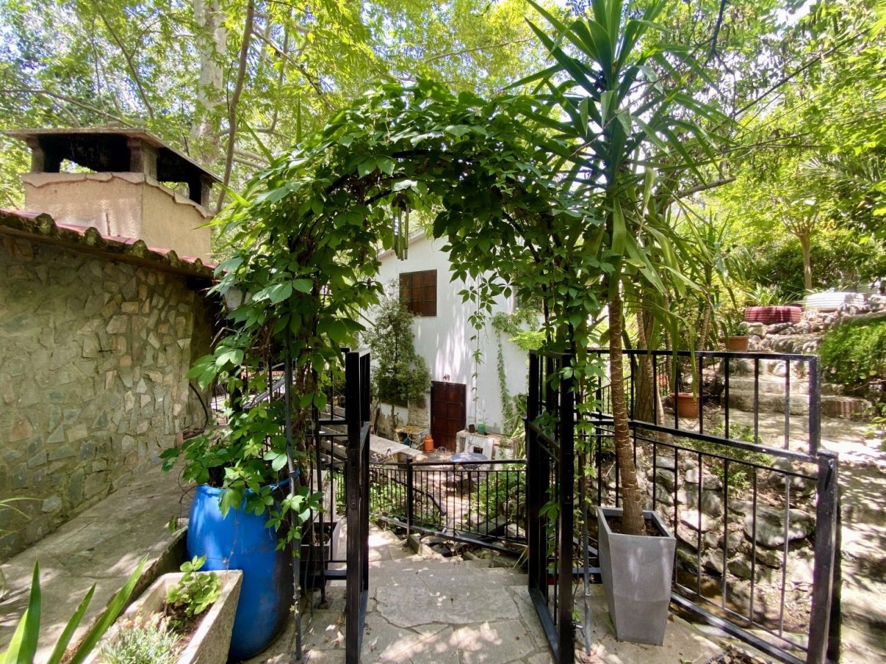 Кафе, ресторан в Лимасоле, Кипр, 400 м² - фото 12