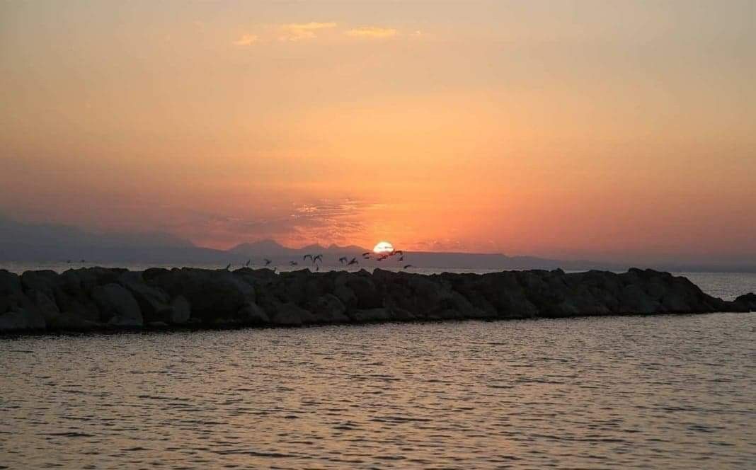 Вилла в Пафосе, Кипр, 500 м² - фото 13