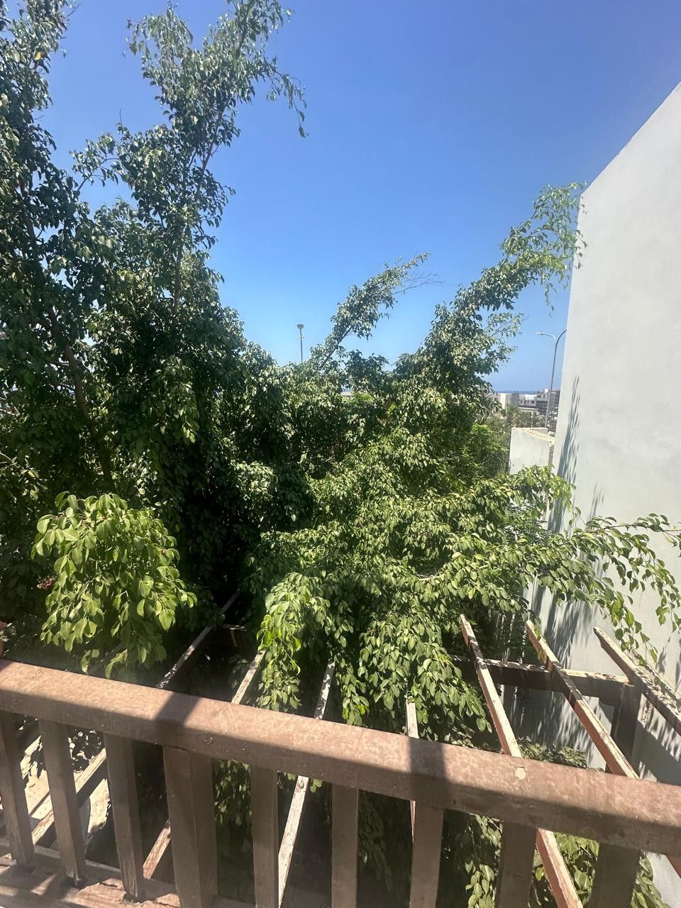 Таунхаус в Пафосе, Кипр, 86 м² - фото 13