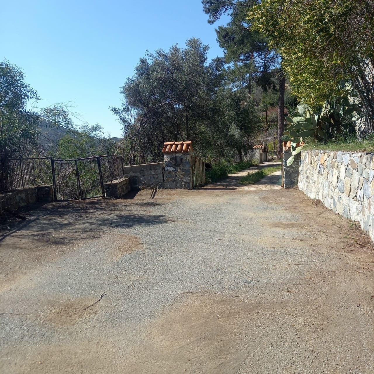 Вилла в Лимасоле, Кипр, 350 м² - фото 13