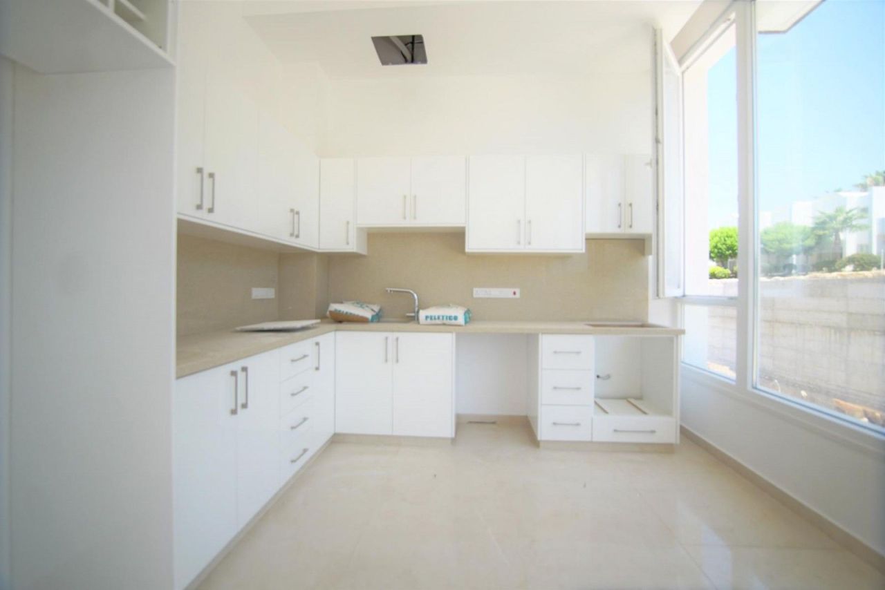 Коммерческая недвижимость в Пафосе, Кипр - фото 13