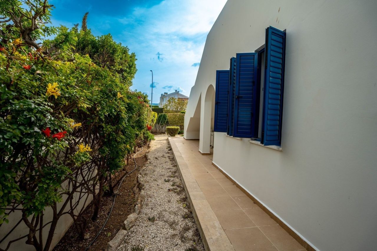 Бунгало в Пафосе, Кипр, 193 м² - фото 14