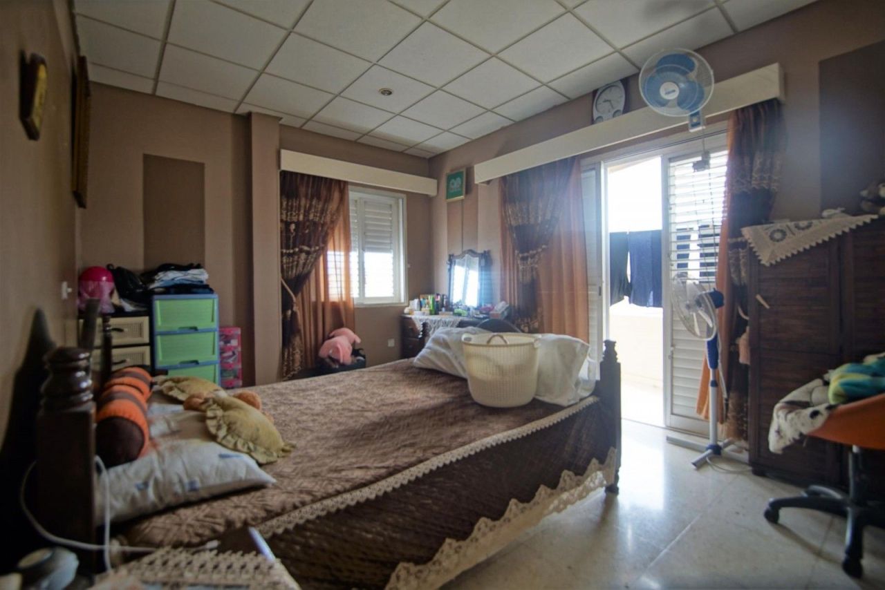 Коммерческая недвижимость в Пафосе, Кипр, 308 м² - фото 14