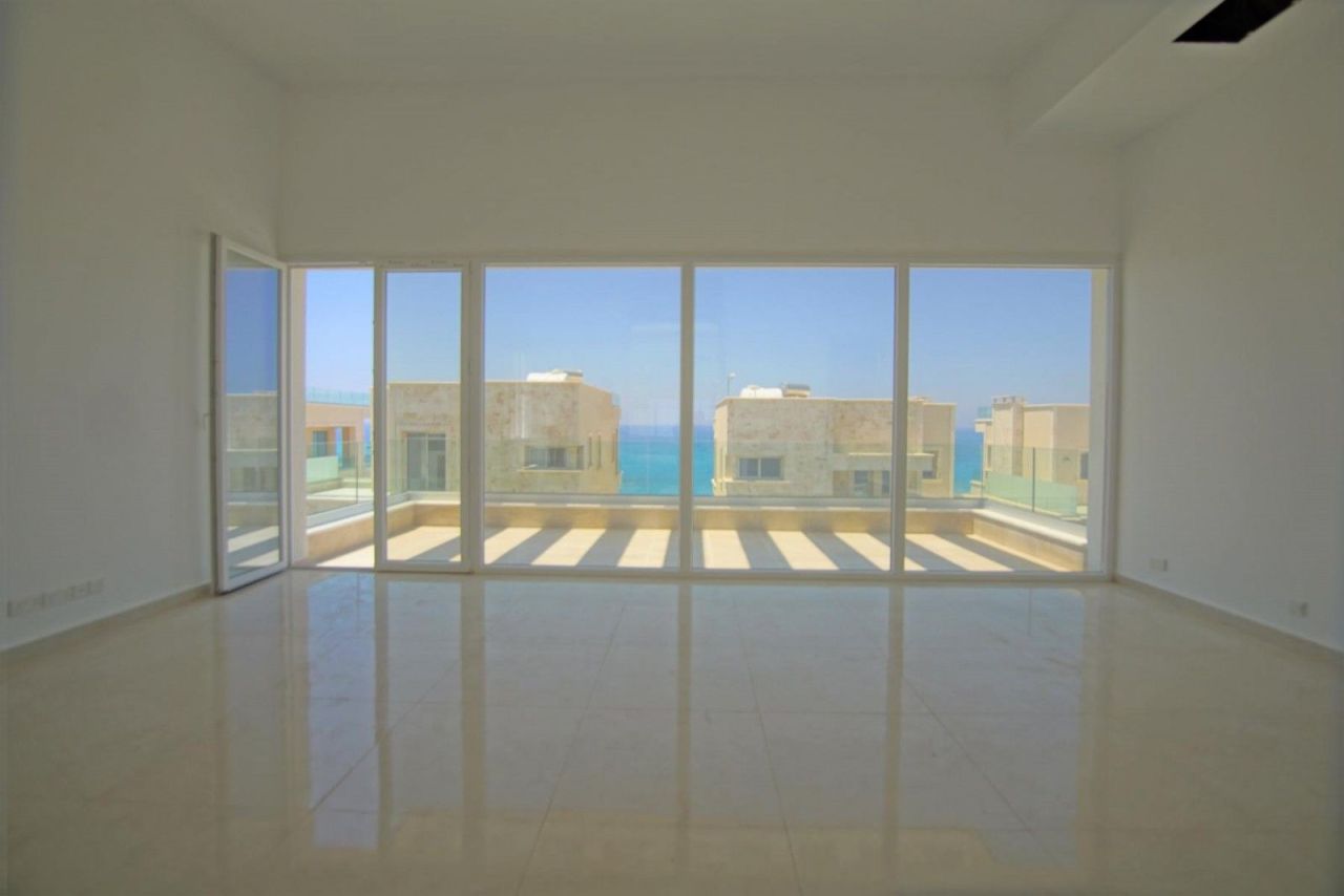 Коммерческая недвижимость в Пафосе, Кипр - фото 16