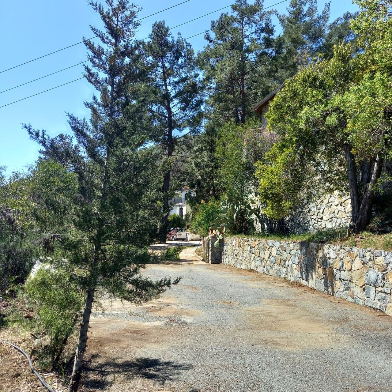 Вилла в Лимасоле, Кипр, 350 м² - фото 16