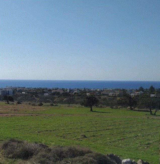 Земля в Пафосе, Кипр, 12 496 м² - фото 17