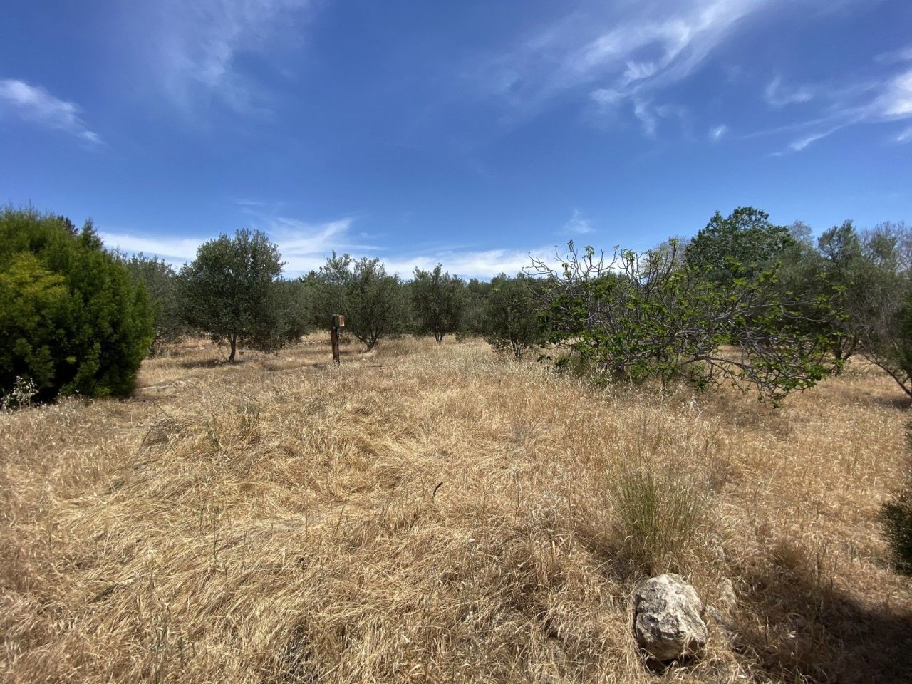 Вилла в Пафосе, Кипр, 350 м² - фото 18